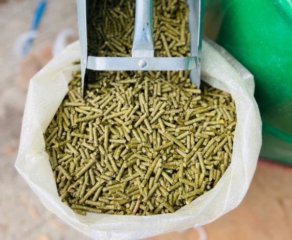 Bolsa 20 Kilos de Pellet de Alfalfa